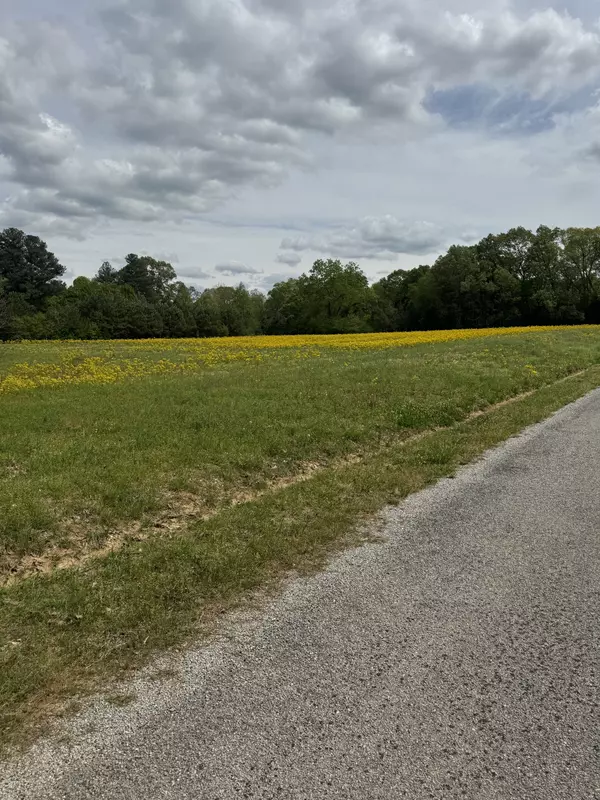 Buena Vista, TN 38318,0 Taylor Cemetery Rd
