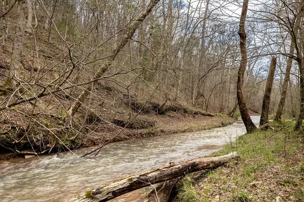 Hohenwald, TN 38462,642 Goodman Branch Rd