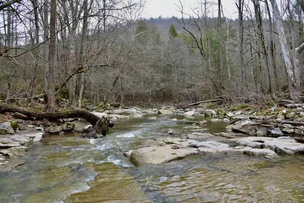 0 Coal Lane, Monterey, TN 38574