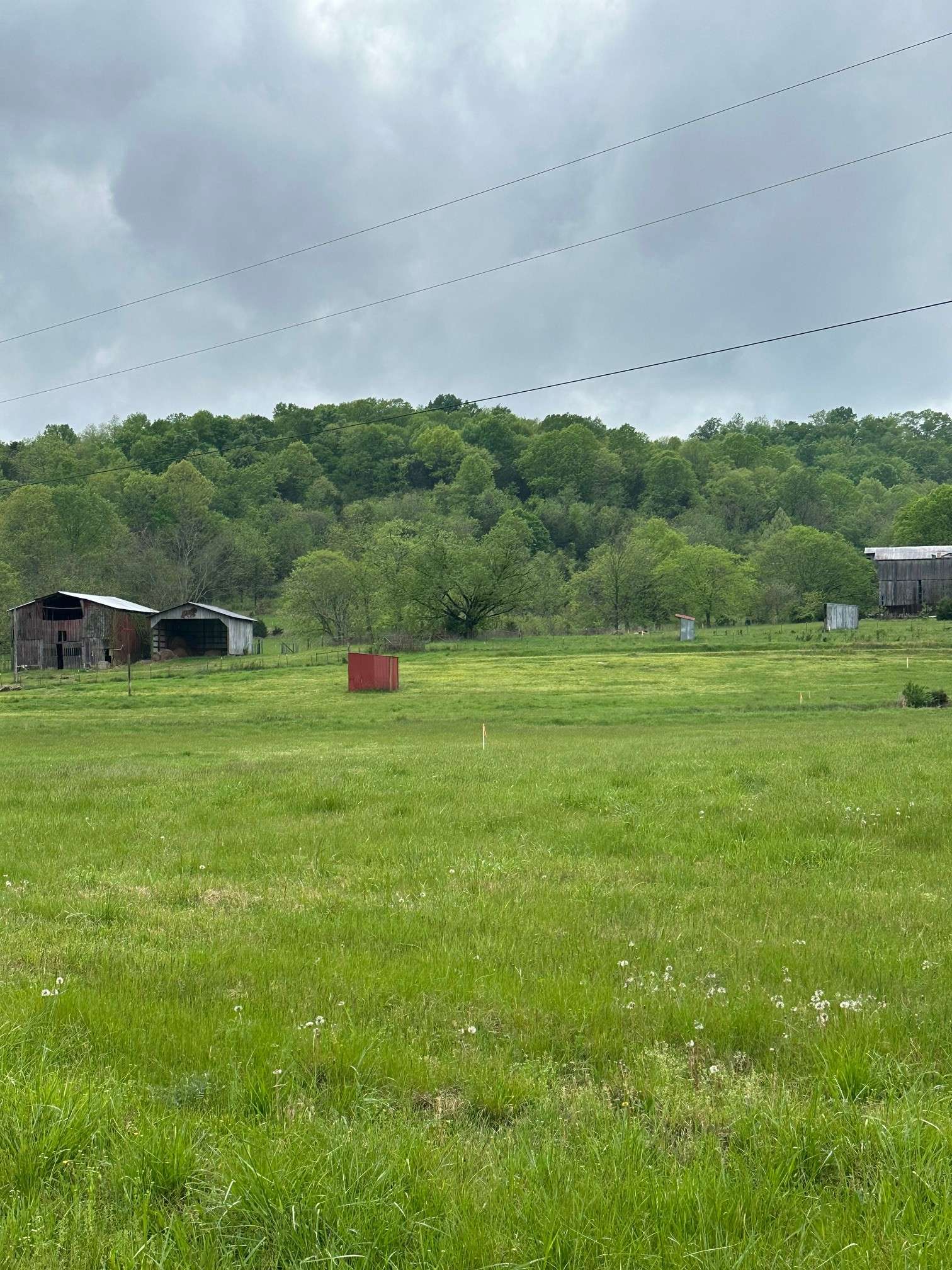 Carthage, TN 37030,0 Duke Hollow Ln