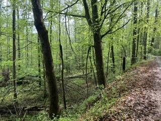 Grandview, TN 37337,102 Bear Den Trl