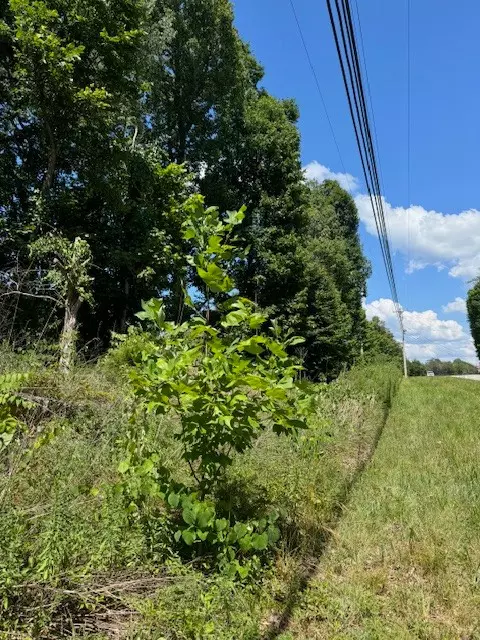 Monterey, TN 38574,0 Monterey HWY