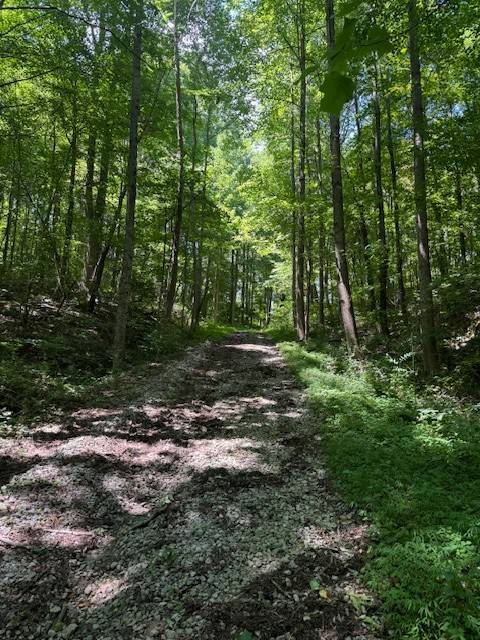 Monterey, TN 38574,0 Monterey HWY