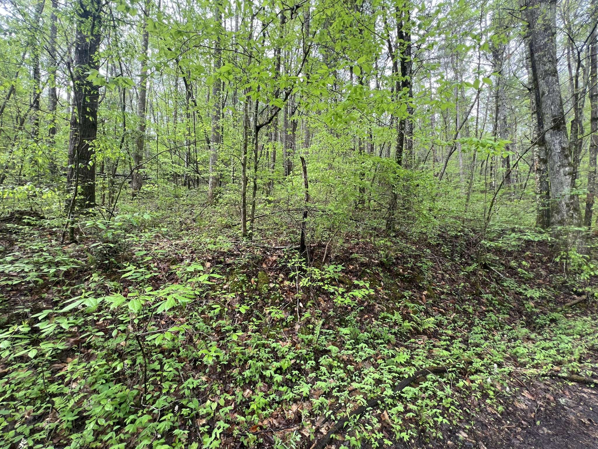 Grandview, TN 37337,104 Bear Den Trl