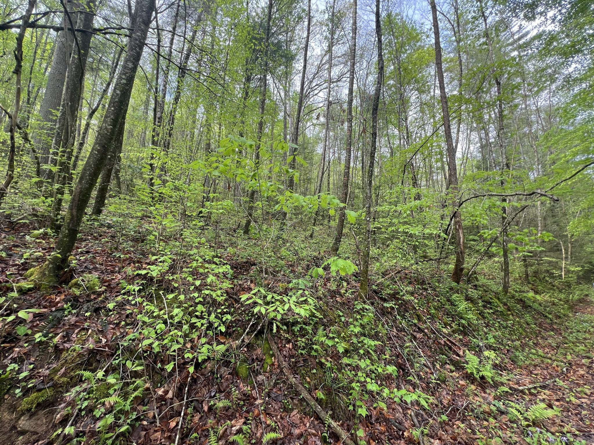 Grandview, TN 37337,112 Bear Den Trl
