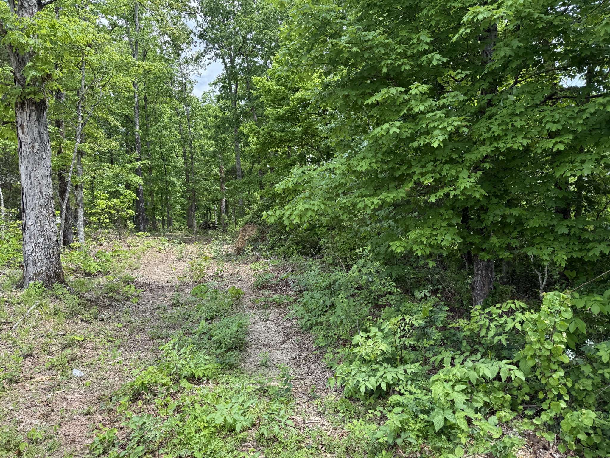 Mc Ewen, TN 37101,0 Robertson Rd
