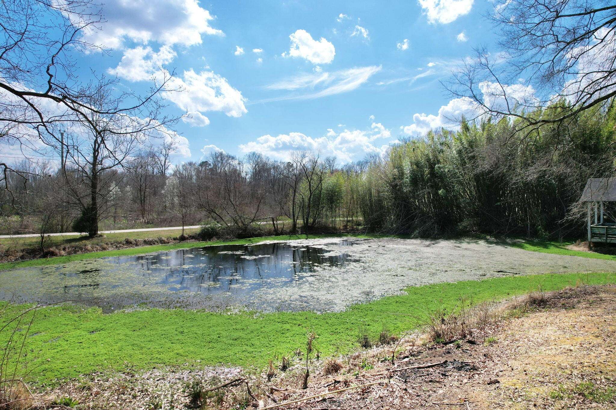 Dalton, GA 30721,3839 Cleveland Highway