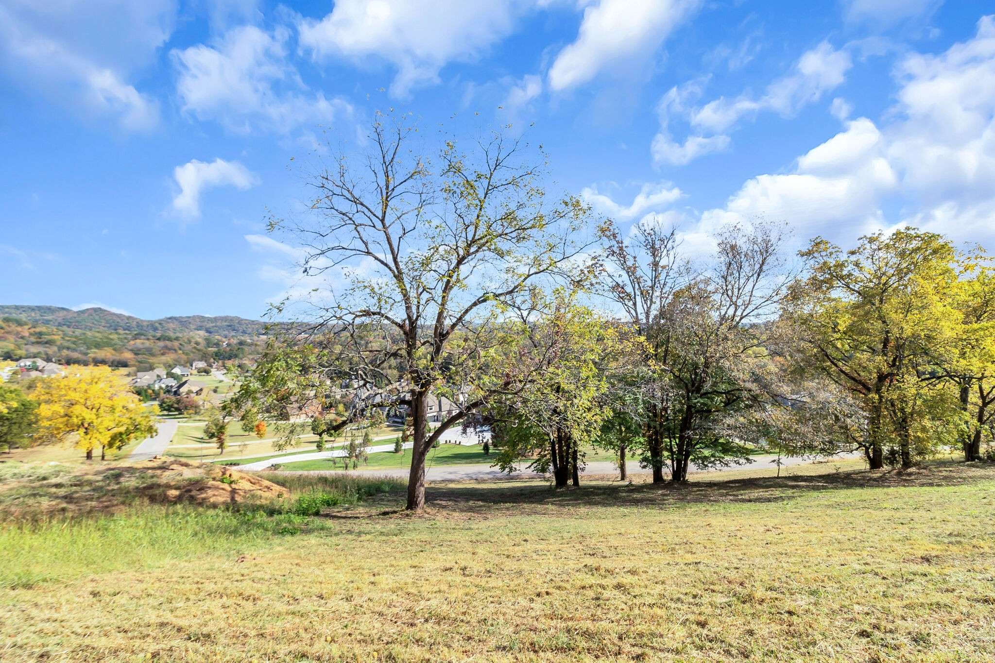 Franklin, TN 37064,4439 Ivan Creek Dr
