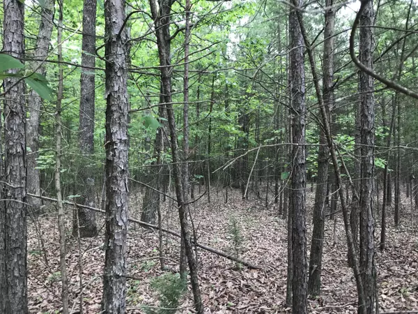 Dunlap, TN 37327,0 Bluffview Drive