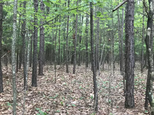 Dunlap, TN 37327,0 Bluffview Drive