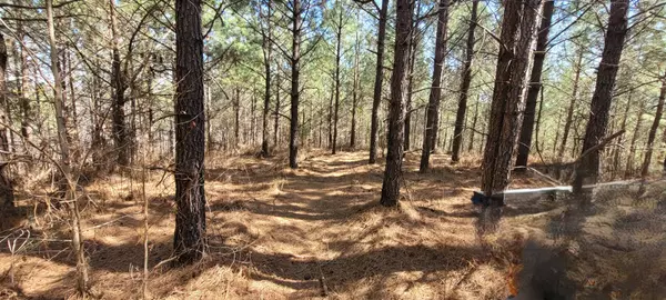 1 Saddleback Dr, Dover, TN 37058