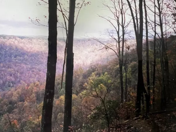 Monteagle, TN 37356,0 Long View Lane