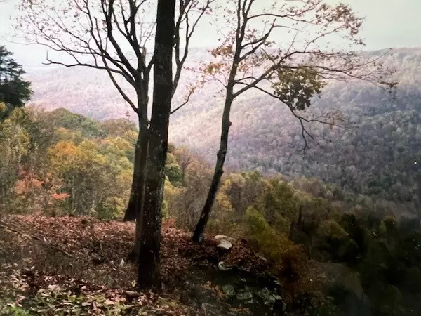 Monteagle, TN 37356,0 Long View Lane