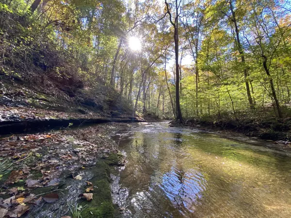 White Bluff, TN 37187,1508 White Bluff Rd