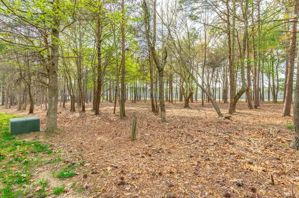 Rising Fawn, GA 30738,0 Sunshine Tr