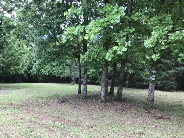 Dunlap, TN 37327,0 Skyhigh Dr