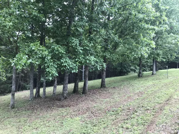 Dunlap, TN 37327,0 Skyhigh Dr