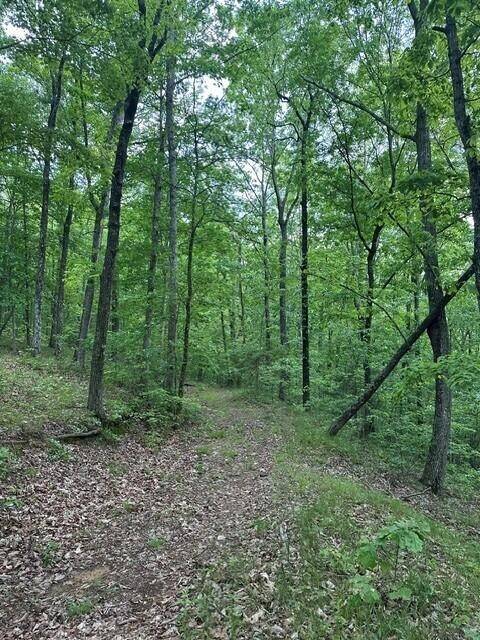 South Pittsburg, TN 37380,3958 Hwy 156