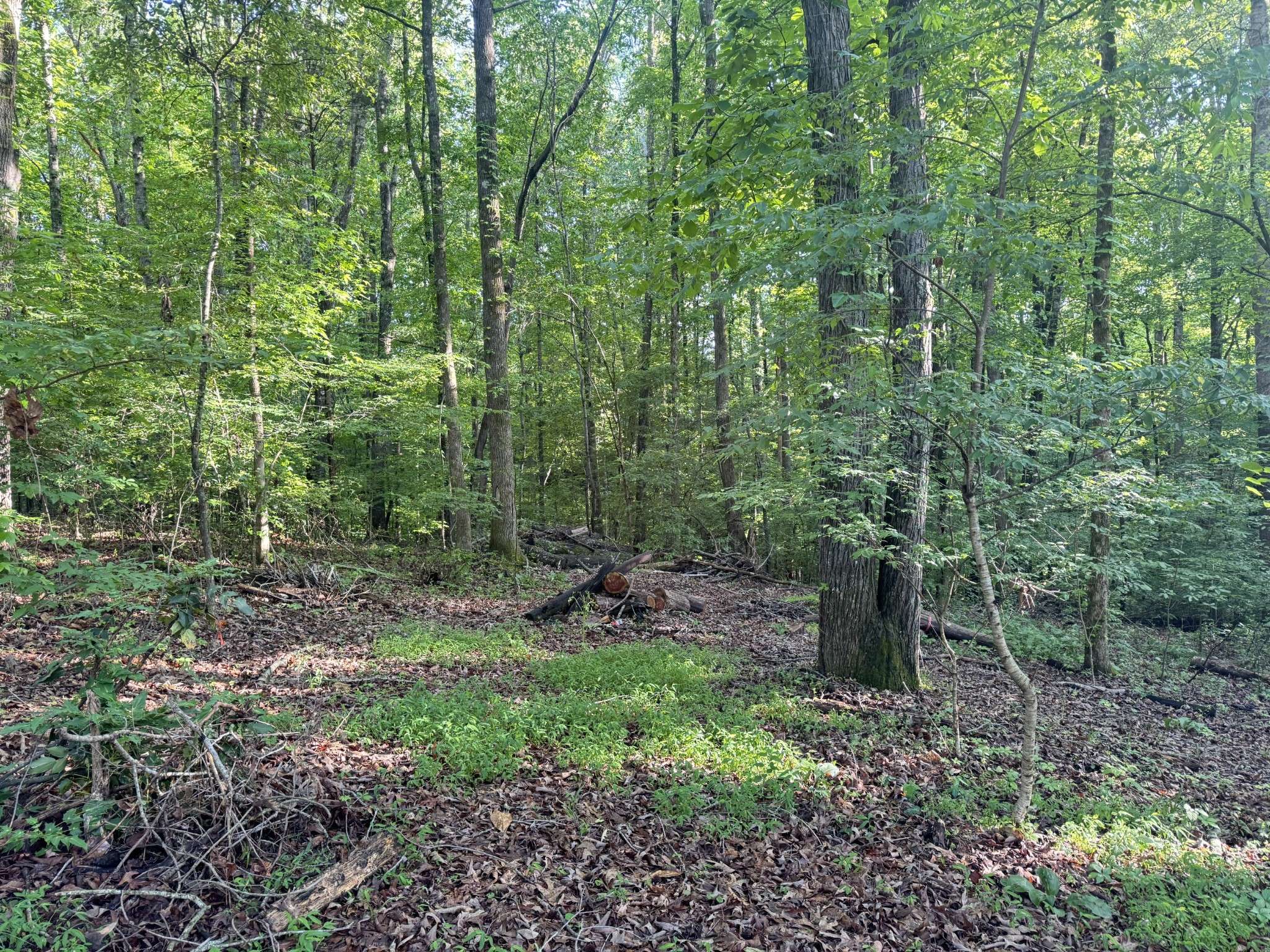 Winchester, TN 37398,0 Huntington N Dr