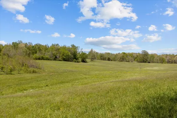 Waverly, TN 37185,0 W Blue Creek Rd