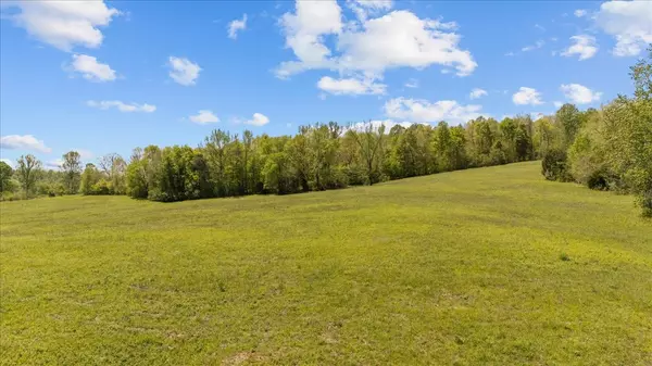 Waverly, TN 37185,0 W Blue Creek Rd