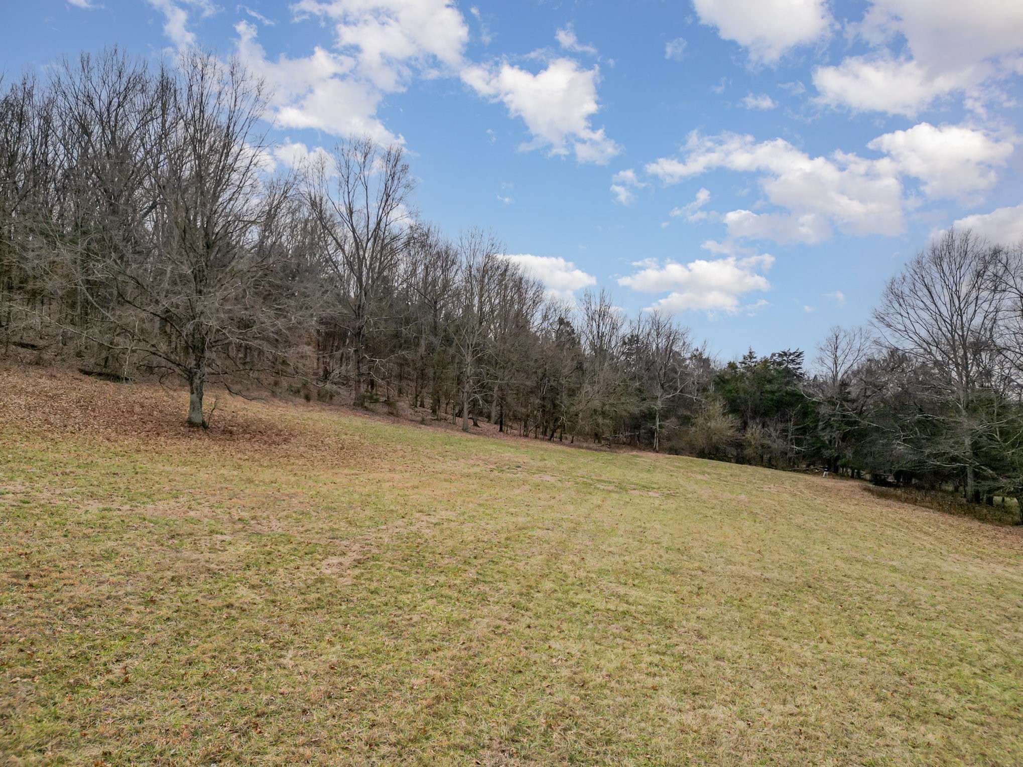 Franklin, TN 37064,4511 Harpeth School Rd