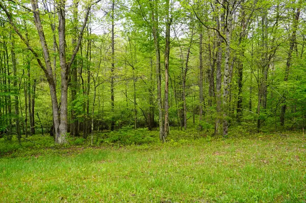 Monterey, TN 38574,0 Glade place
