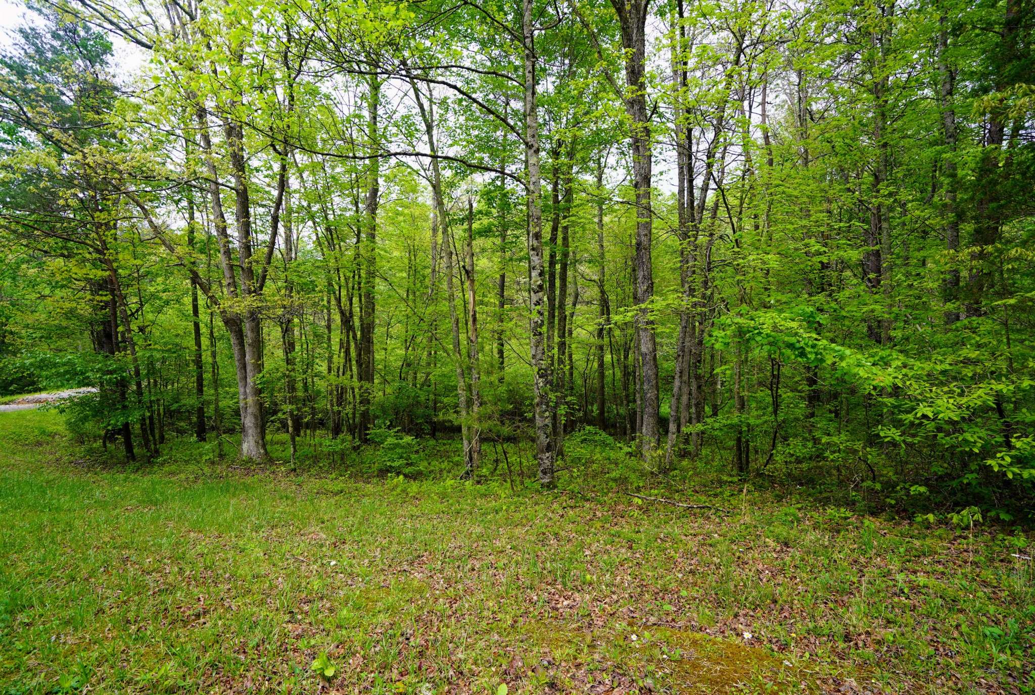 Monterey, TN 38574,0 Glade place