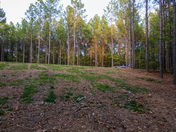 Hohenwald, TN 38462,538 Seiber Ridge Road