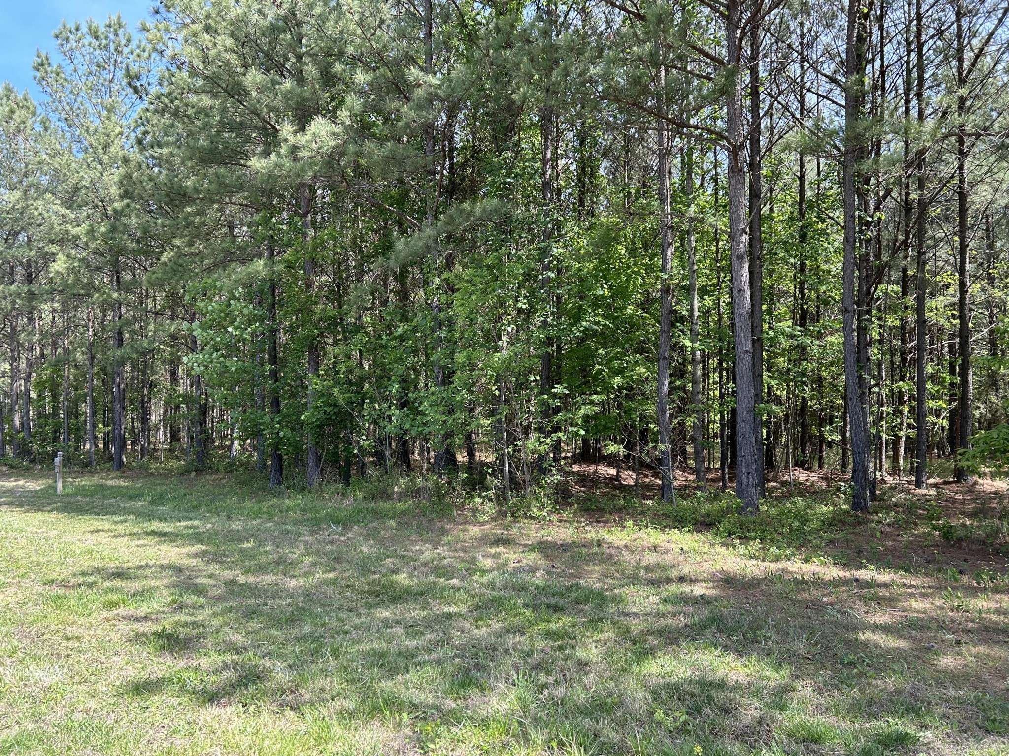 Jasper, TN 37347,290 Bear Trace Drive