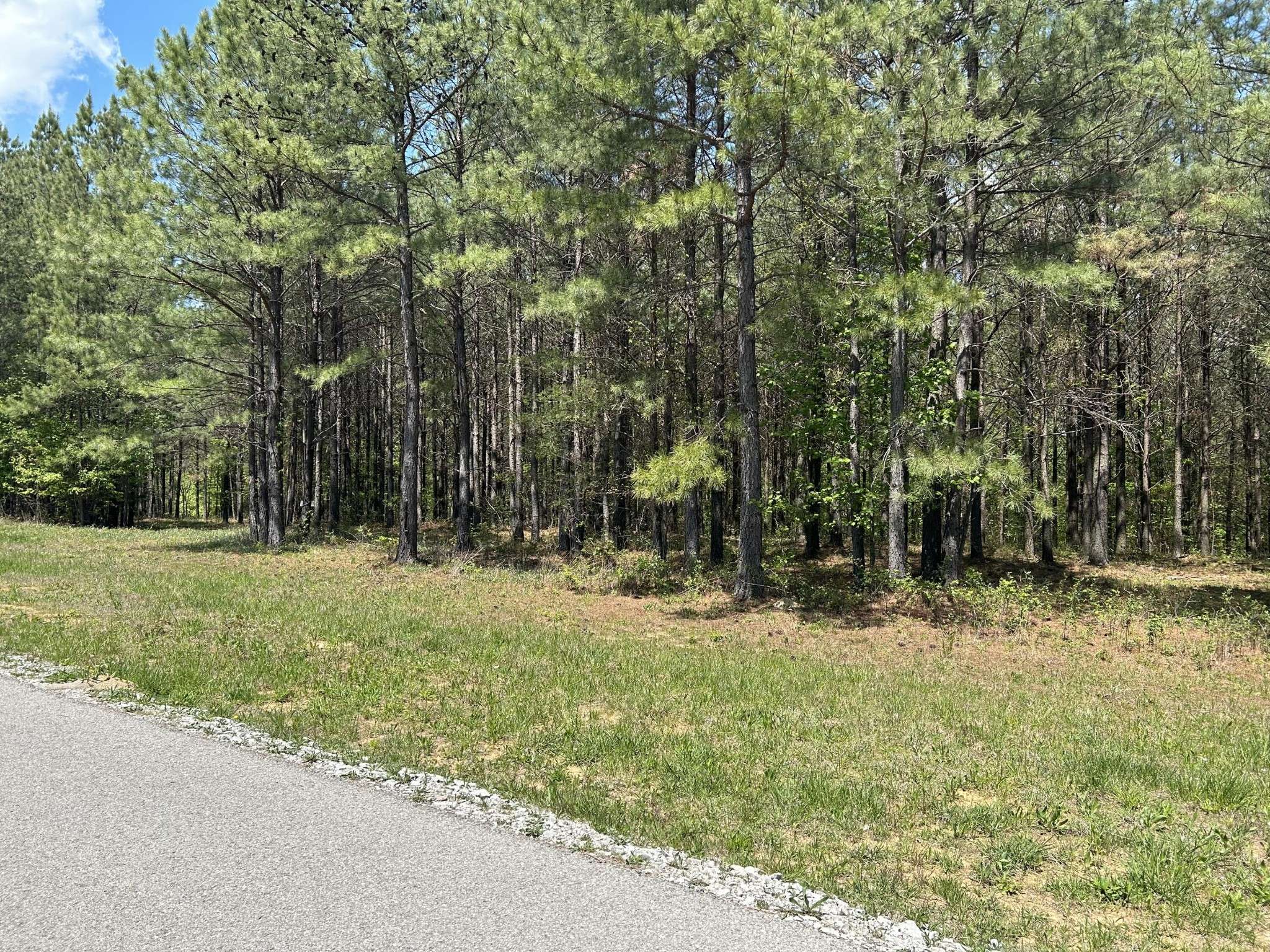 Jasper, TN 37347,250 Bear Trace Drive