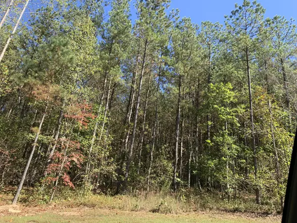 Jasper, TN 37347,4910 Raulston Falls Road