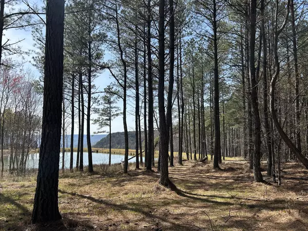 Jasper, TN 37347,4093 Raulston Falls Road