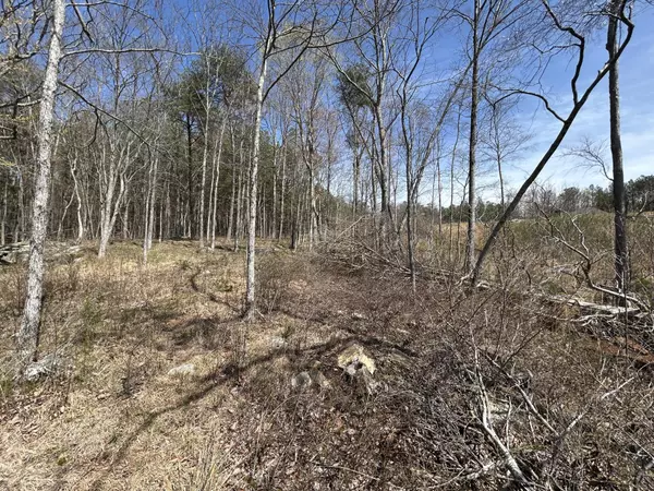 Jasper, TN 37347,4093 Raulston Falls Road