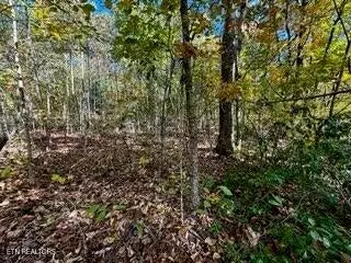 Crawford, TN 38554,0 Honey Springs Rd