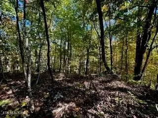 Crawford, TN 38554,0 Honey Springs Rd