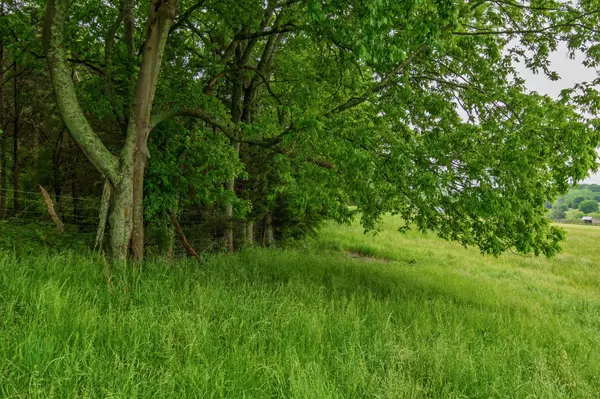 College Grove, TN 37046,0 Giles Hill Road