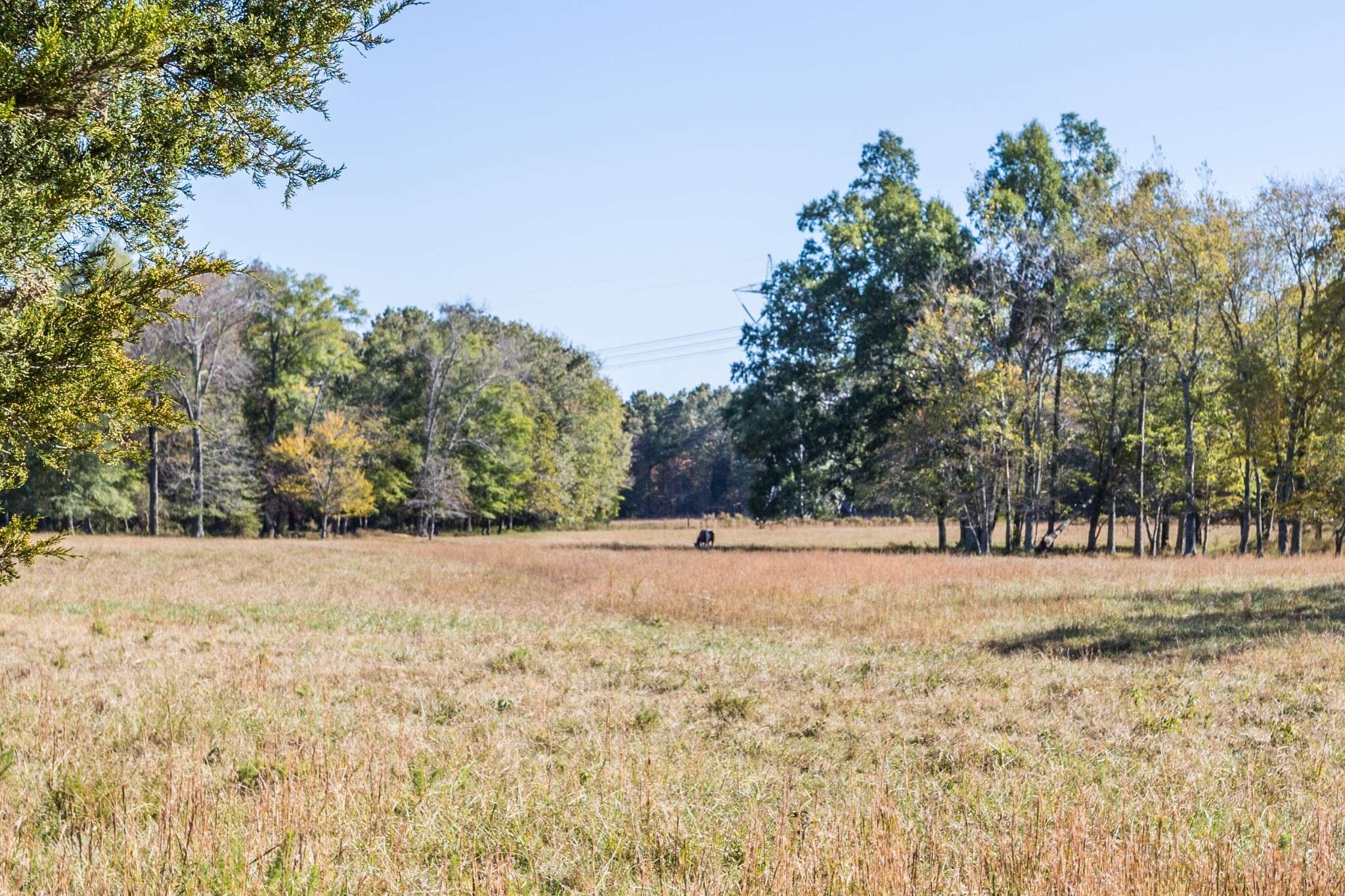 Tullahoma, TN 37388,2119 W LINCOLN ST