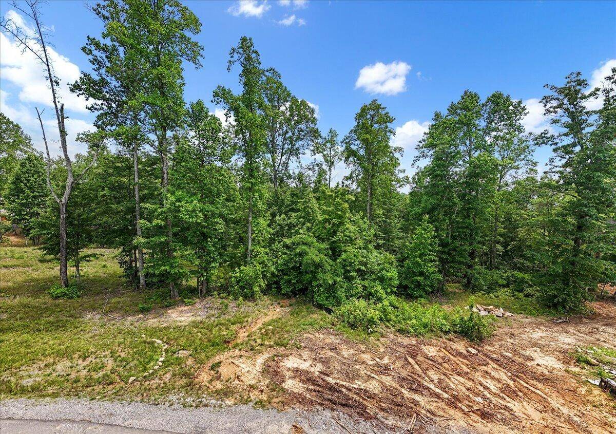 Jasper, TN 37347,525 Moonlight Lane