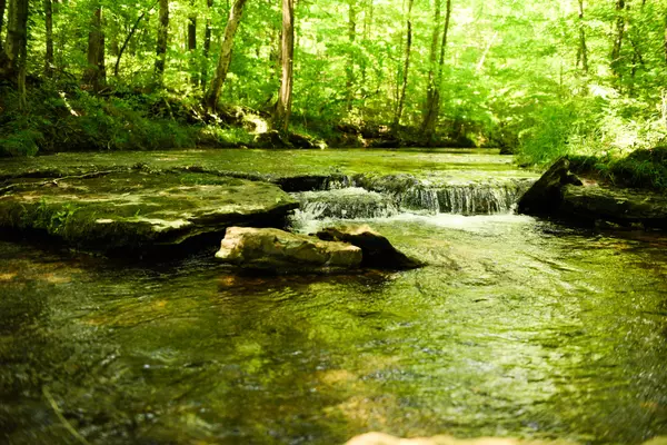 Lawrenceburg, TN 38464,0 Grandaddy Rd