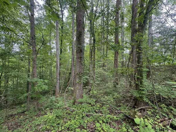 Smithville, TN 37166,1 Coconut Rdg Rd