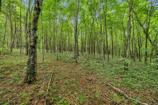 0 Eli Rd, Bon Aqua, TN 37025