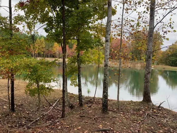 Jasper, TN 37347,464 Moonlight Lane