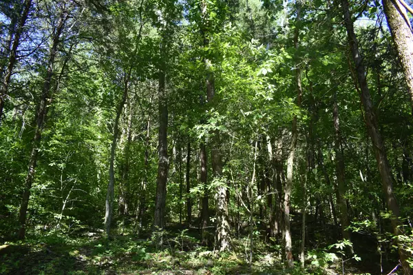 Carthage, TN 37030,0 Ballenger Rd