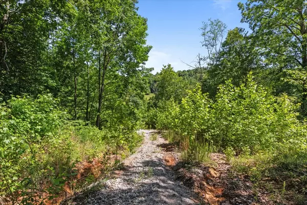 Waverly, TN 37185,4040 Jack Saunders Rd