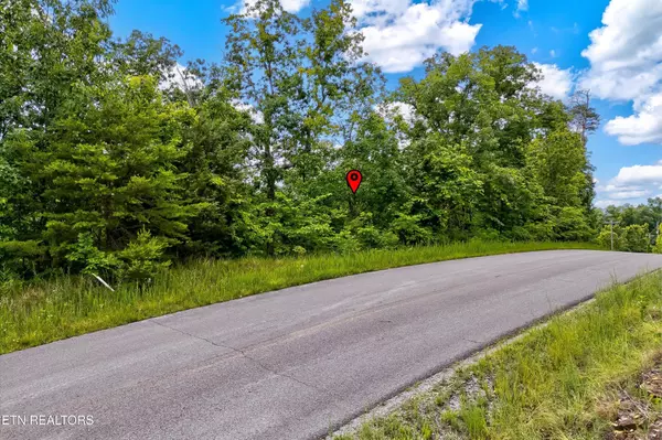 111 Tranquility Tr, Dandridge, TN 37725