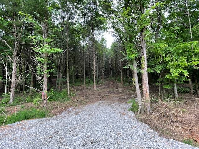 6 Chapel Hill Road, Southside, TN 37171