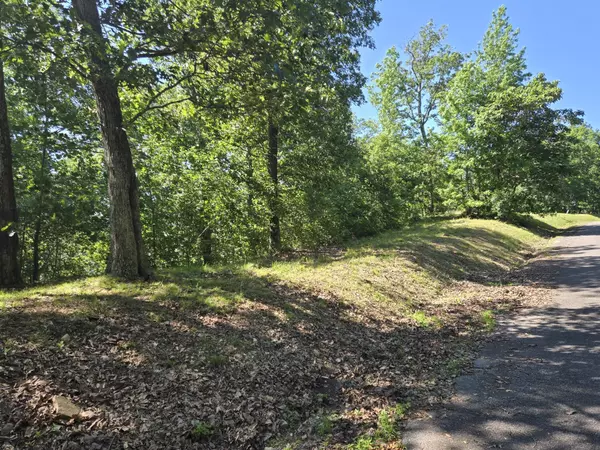 Waverly, TN 37185,0 Sunset Ridge