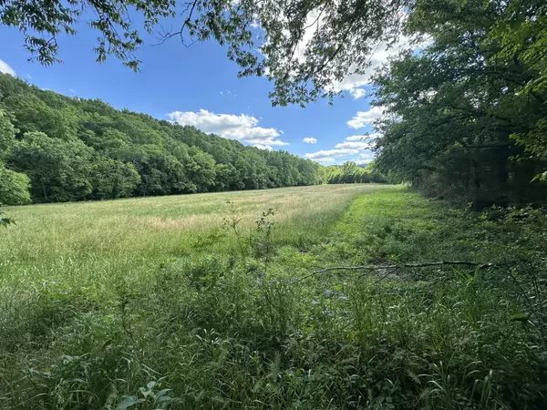 Buffalo Valley, TN 38548,642 Club Springs Rd