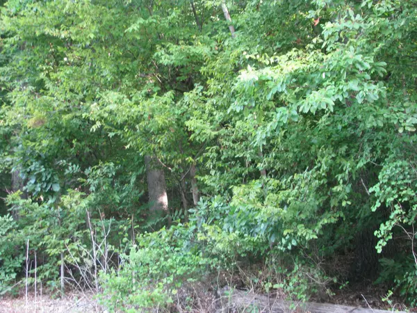 Waverly, TN 37185,0 West Little Richland Rd